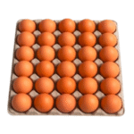 Huevos de Gallina Amarillos Maple